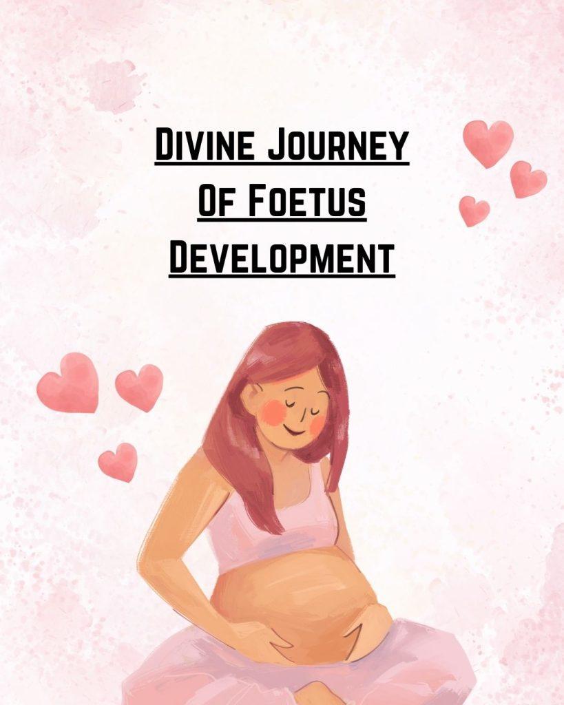 Divine Journey Of Foetus Development