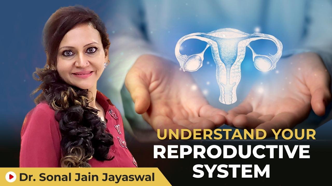 Understand Your Reproductive System
